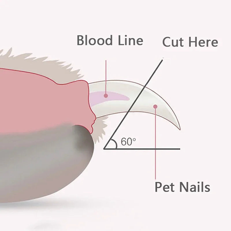 Premium LED Pet Nail Clipper Safe, Precise & Stress-Free Grooming